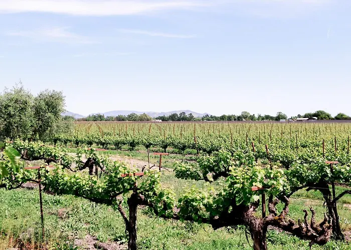 Vintners Resort