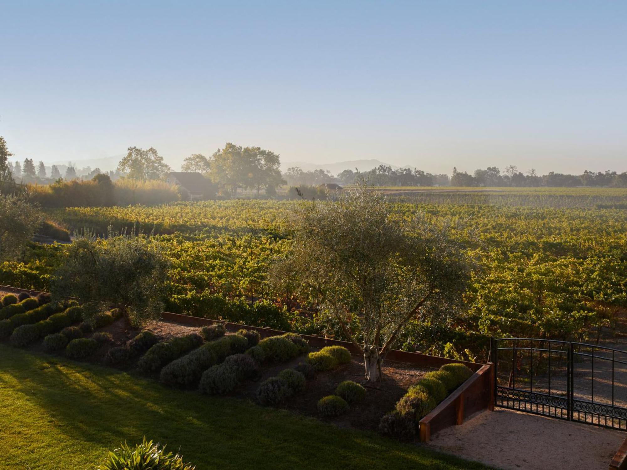 Hotel Vintners