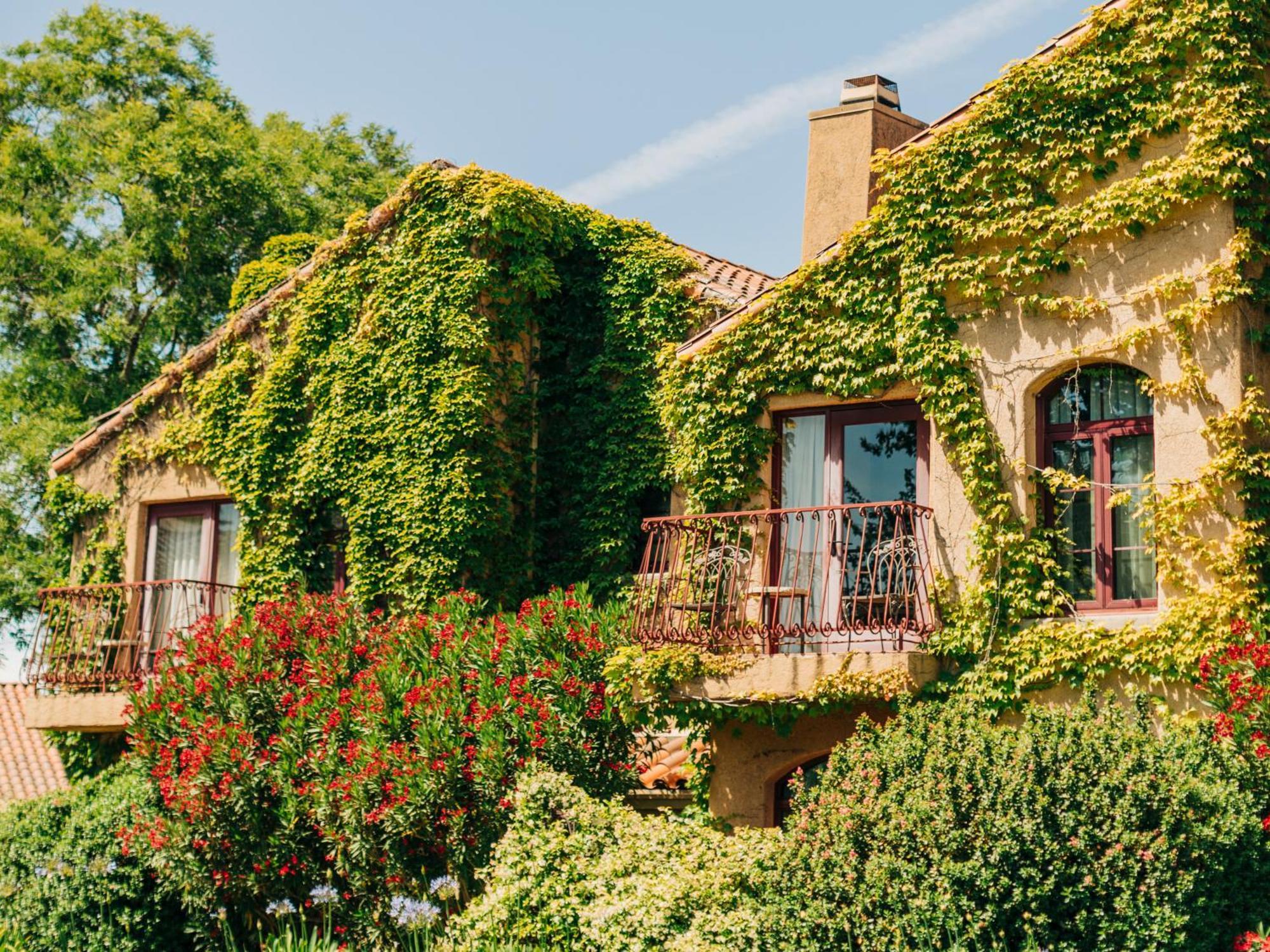 Hotel Vintners 4*